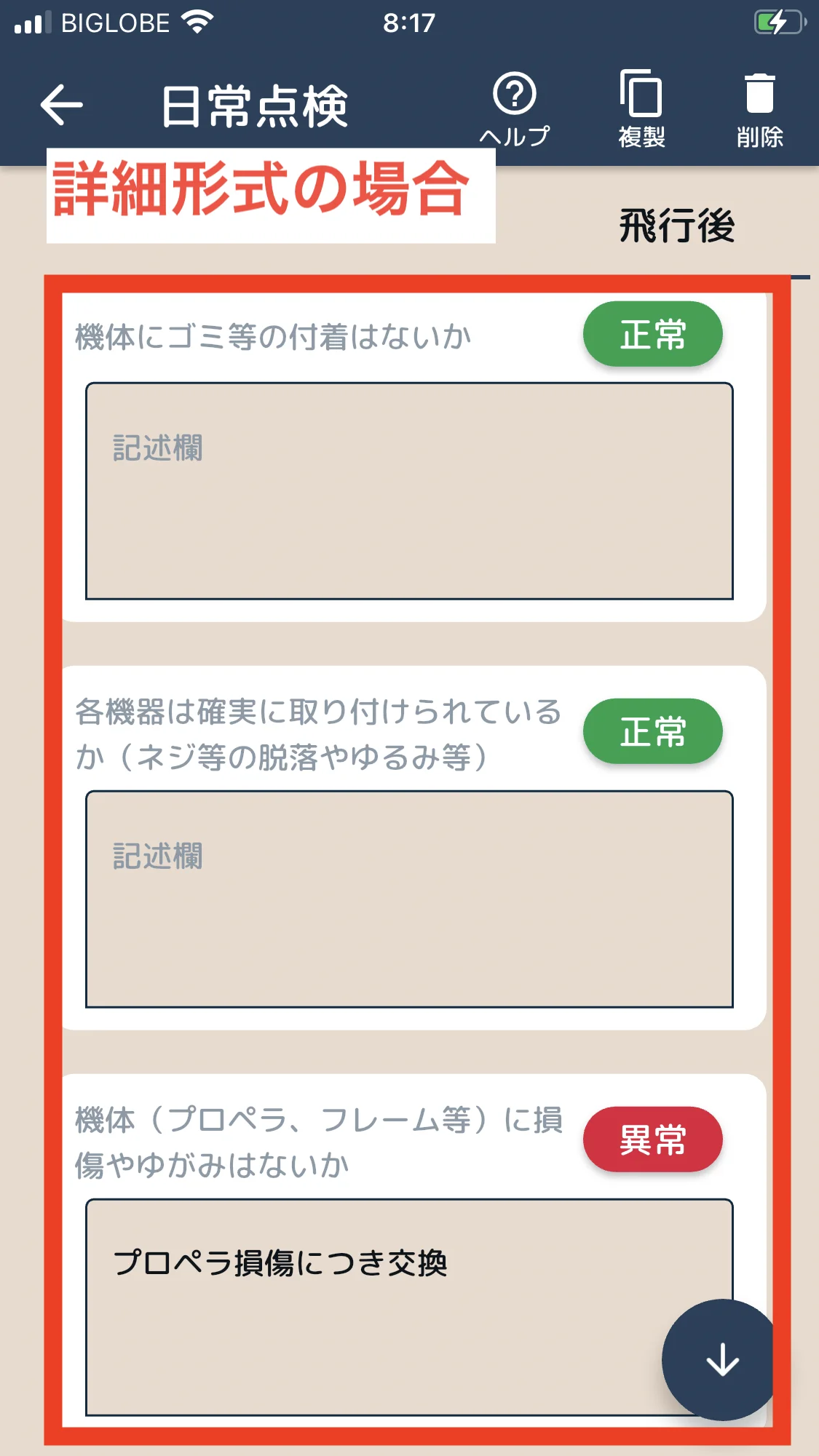 飛行後点検 - 詳細形式