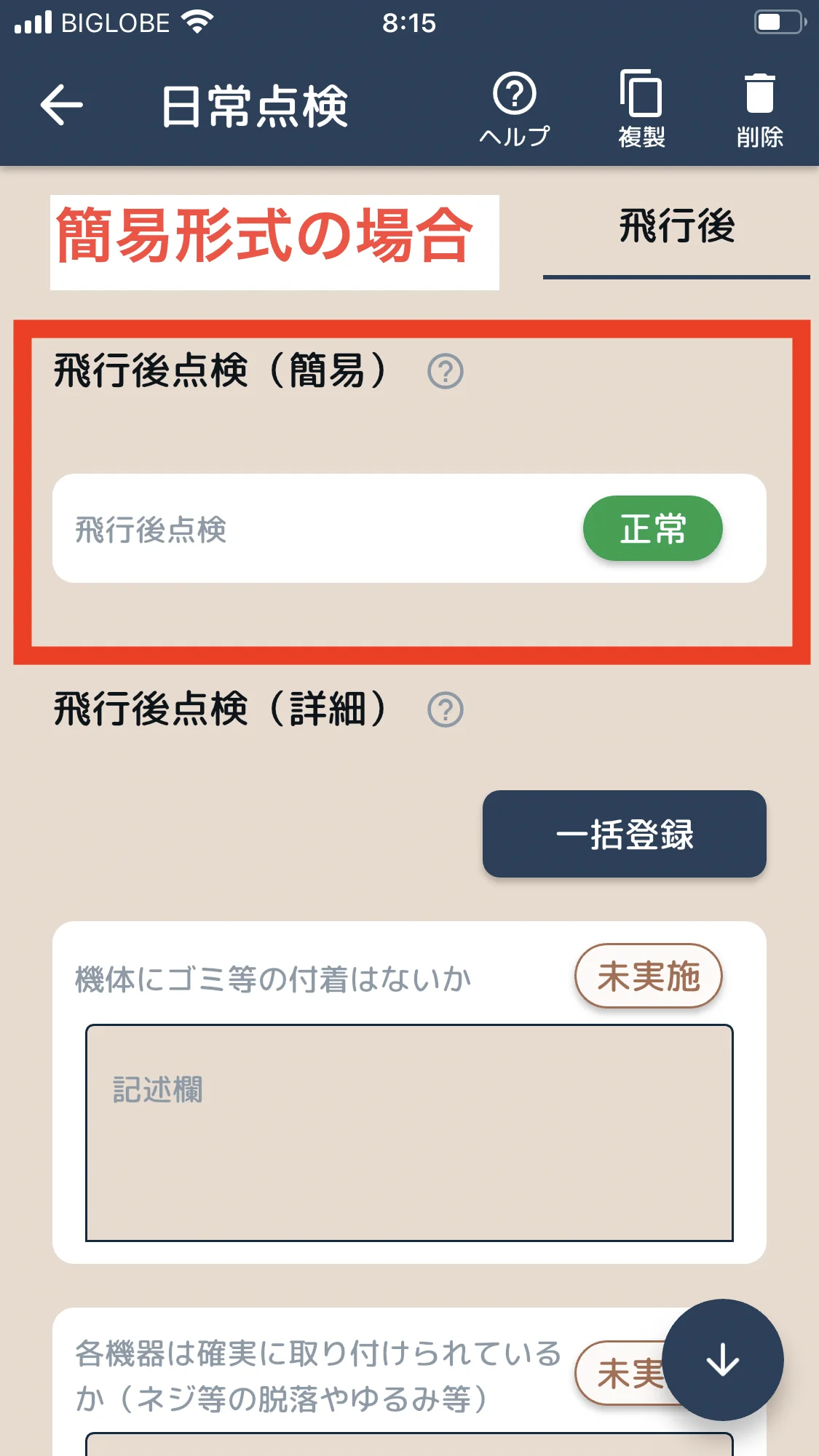 飛行後点検 - 簡易形式